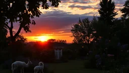 sunrise in the garden of the moment , vanitas style