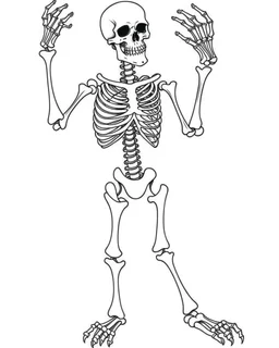 outline art for halloween coloring pages for kids with cartoon cute happy skeleton , white background, Sketch style, full body, only use outline, clean line art, white background, no shadows and clear and well outlined, coloring page for kids,