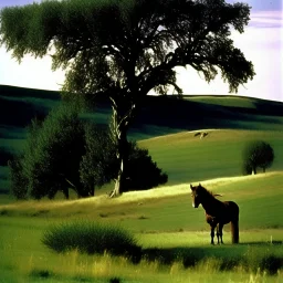 Nebraska 1997 Wild Horse Hill Photo, FNAF Purple guy in the foreground behind a tree.