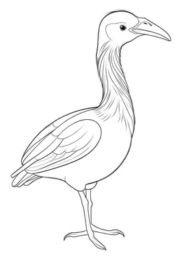 a graceful albatross, perfectly adapted to the harsh Antarctic climate, clean line art, monochrome, for kids coloring book, white background
