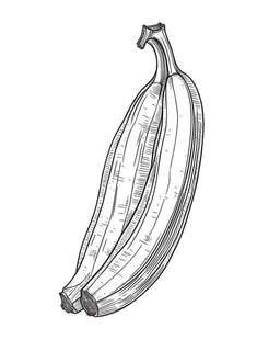 Simple line drawing illustration of a banana on a white background.