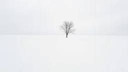 Image Prompt: The Whiteness of Silence Scene: A vast, snow-covered landscape stretching to the horizon under a pale winter sky. Composition: Wide-angle shot emphasizing the expanse of white. A single, bare tree stands off-center in the foreground, its dark branches creating stark contrast against the snow. Lighting: Soft, diffused light from an overcast sky, creating a sense of ethereal stillness. No harsh shadows, just subtle variations in the snow's texture. Color Palette: Predominantly wh