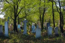 Creepy trees, sunny day, abandoned cemetery