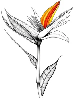 real massive only Bird of Paradise flower, coloring page, no leaves, full body (((((white background))))), only use an outline., real style, line art, white color, clean line art, white background, Sketch style