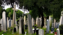 cemetery in the heart of the old city