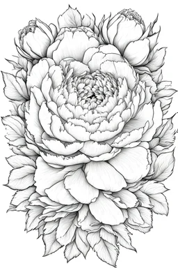 Outline art for wreath of peony flower. Coloring pages with wreatht of peony flower. white backgroud. Sketch style, full body, only use outline, clean line art, white background, no shadows and clear and well outlined. black outline, black and white only. only outline should be black everything else should be white
