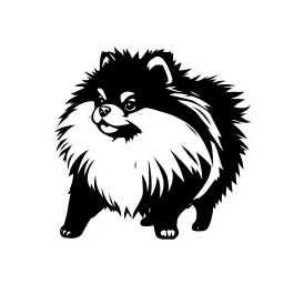 silhouette of a pomeranian , black on white vector