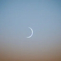 Vista de cielo despejado de día con luna desde perspectiva acostado en un campo abierto