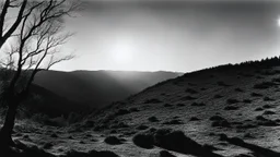 [photo by Helmut Newton] Overhead, noises, branches of the pine shifting. Then nothing. The weak sun flickered over the dry surface. It is terrible to survive as consciousness buried in the dark earth. Then it was over: that which you fear, being a soul and unable