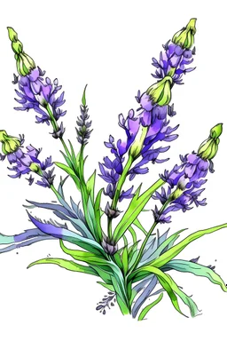 Lavender like hand drawing more colorful