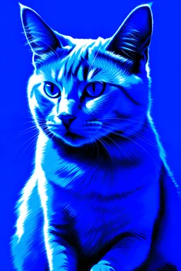 cat blue