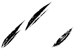 3 differentparallel diagonal claw slash marks in black on white, ragged, vector