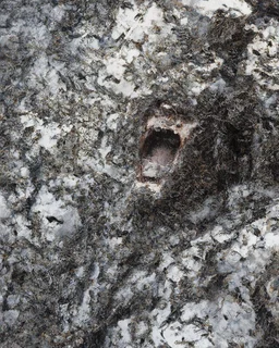 horror, swarming mechanical robotic insects, screaming mannequin, pain, decay