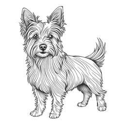 A line art of a full dog body (Australian Terrier). make this black and white and a little bit filly.
