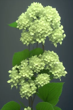 an isolated translucent hydrangea plant, 3d render, art nouveau style, ultra realistic, masked transparent flat background, backlight, popular on sketchfab, pixelsquid, 8k, volumetric lighting, super focused, no blur, trending on artstation, octane render, ultra detailed, hyperrealistic, by artgerm and alphonse mucha