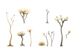 "Isolated concept art of multiple types of alien tree plant on a plain neutral background. Designed for Desert biome – dry, spiky, brittle grass with sharp edges, thorn-like blades, and pale dusty colors