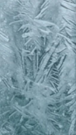 frost formed over glass