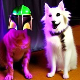 Cat and dog, hot disco mandalorian, party, chicken