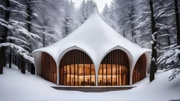 2055, rule of thirds, delightful, sensitive, confident, undulating sinusoidal theatre with pointed hyperbolic roofs, forest, delicate, thick snow, symmetrical, exquisite architecture, innovative design, perfect symmetry, award-winning photograph, beautiful composition, filled with beautiful detail, delicate colour, chiaroscuro