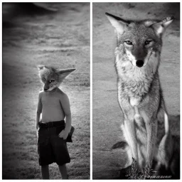 coyote boy