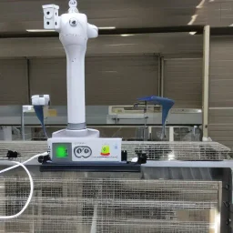 Cellular automation bird