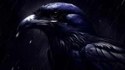 nfl ravens darkness is everything wallpaper