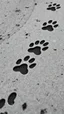 Placeholder: a path of dirty dog prints, black on white