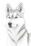 Placeholder: outline pencil art of a cute animal husky dog