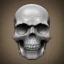 Placeholder: crystal skull portrait, simmetric eyes, ambient, ultra realistic photo, unreal engine, paloroid, 100mm --aspect ratio 1:1