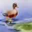 Placeholder:  watercolour painting of a duck on a pond