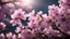 Placeholder: nature, cherry blossom, flowers, volumetric lighting, soft lighting, light particles,