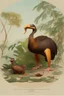 Placeholder: John James Audubon-like illustration of a fully uncropped Dodo bird and a Platypus in a landscape of warm yellows, warm reds, and warm blues