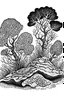 Placeholder: Surrealist ink drawing of corals, like a forest, strange fish swimming among them, black and white