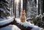 Placeholder: Cat in Wellensteyn coat, winter forest, pine trees, snowing, in sunshine