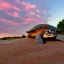 Placeholder: turtle and pink sky