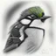 Placeholder: Realistic portrait drawing of a great tit