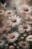 Placeholder: Raymond swanley, pink and white daisies, silver chains, butterflies, brushstrokes, palest pink and cream, muted hues, detailed watercolor wash rule of thirds, painting, fantastical, intricate detail, 8k resolution, afremov style, golden hour