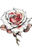 Placeholder: Draw one Rose - , white background,