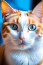 Placeholder: portrait of white and orange cat with bright blue eyes