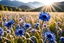 Placeholder: Magic fields with blue cornflowers, blue mountains around, parma or blue light effects colors, sun, realistic, beautiful cornflowers, high contrast, 8k, high definition, concept art, sharp focus