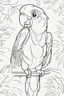 Placeholder: blank colouring book, white blank background, simple picture for toddlers, parrot, disney and pixar style