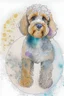 Placeholder: abstract watercolour of a cockapoo dog’s head in the style of Valerie Davide with bifurcated circles and pencil lines
