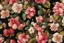 Placeholder: a close up of a floral pattern on a black background, real tropical hybiscus flowers, elegant tropical prints, large jungle flowers, floral wallpaper,