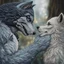 Placeholder: the anthropomorphic gray hairy body wolfman name Teo, holds between his paws the anthropomorphic pale hairy body wolfwoman's face , they look at each other lovingly, blur background, high detalied, realistic, sci-fi and fantasy mood