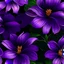 Placeholder: violet flower