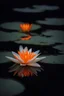 Placeholder: Glowing orange and white lily pad flower at night, water reflection