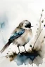 Placeholder: Watercolour of fluffy bird in winter, minimalistic, realistic, negative space