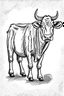 Placeholder: Draw a cow .