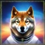 Placeholder: doge