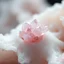 Placeholder: Macro photography of rose quartz crystal clusters emerging from soft biological gel-like tissue, extreme close-up, fine micro texture detail, soft directional light, dark neutral background, ultra photorealistic, 8k